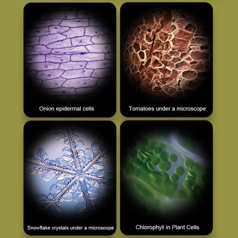 Examples of onion cells, tomatoes, snowflake chrystals, and chlorophyll under a 120x zoom featured on the Pocket Microscope for kids.