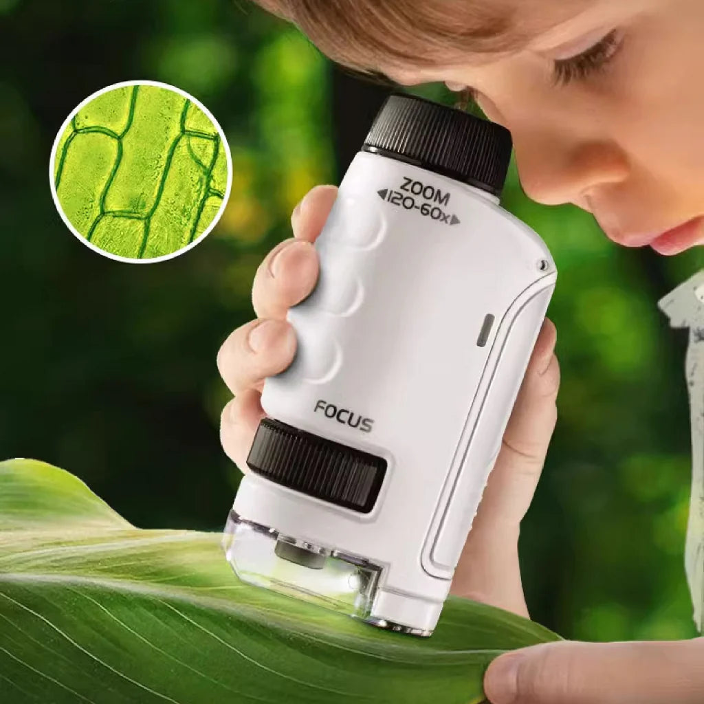 Little boy zooming on a leaf with his Pocket Microscope which features 2 lenses, a focus option, and an LED light. 