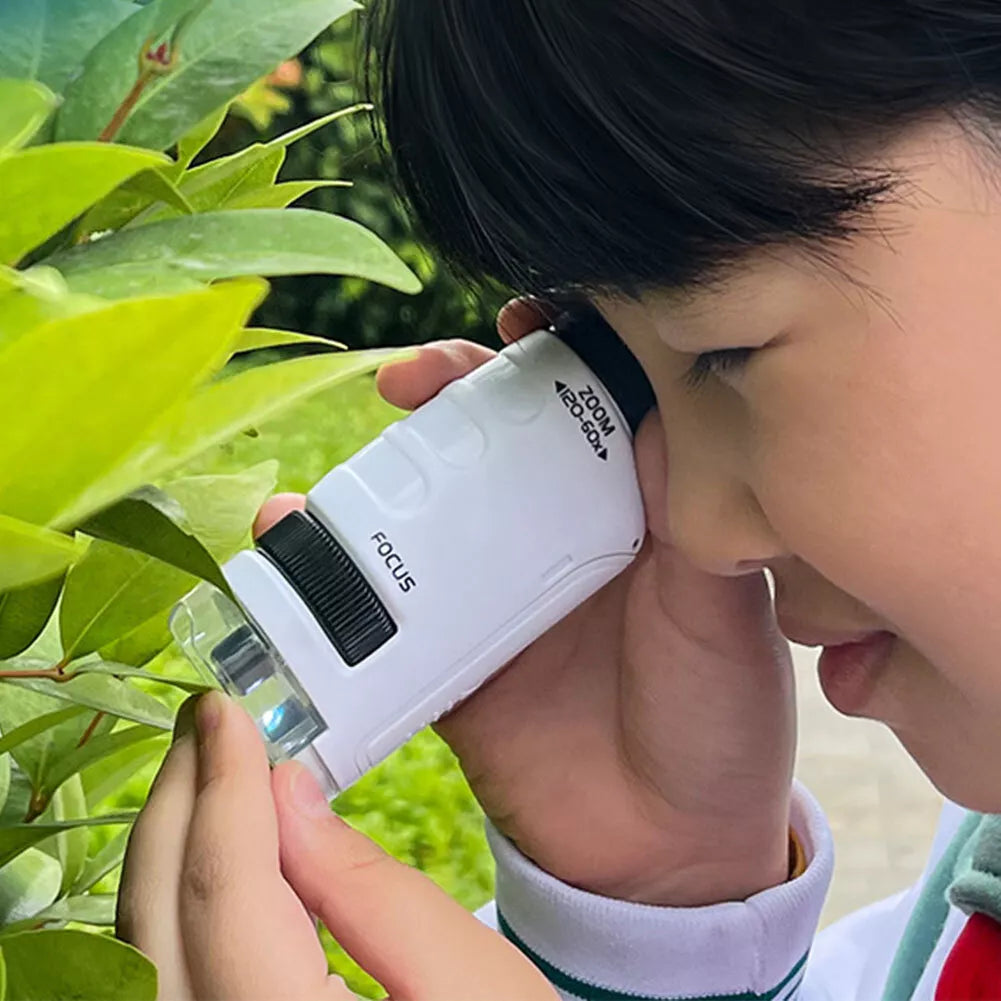 Girl looking at leaves via a portable microscope.  