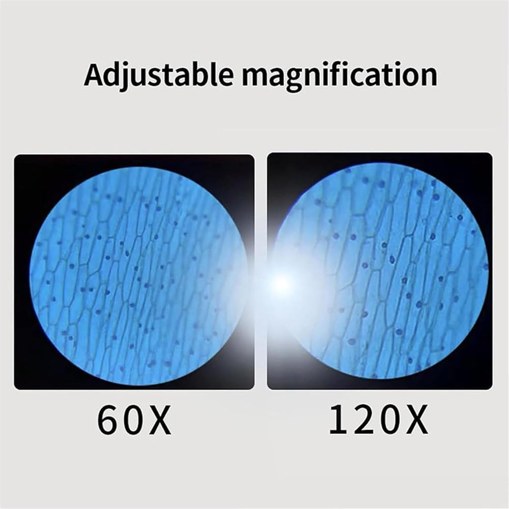 Infographic showcasing the 60x and 120x zoom, which is an option featured on the Pocket Microscope for kids.