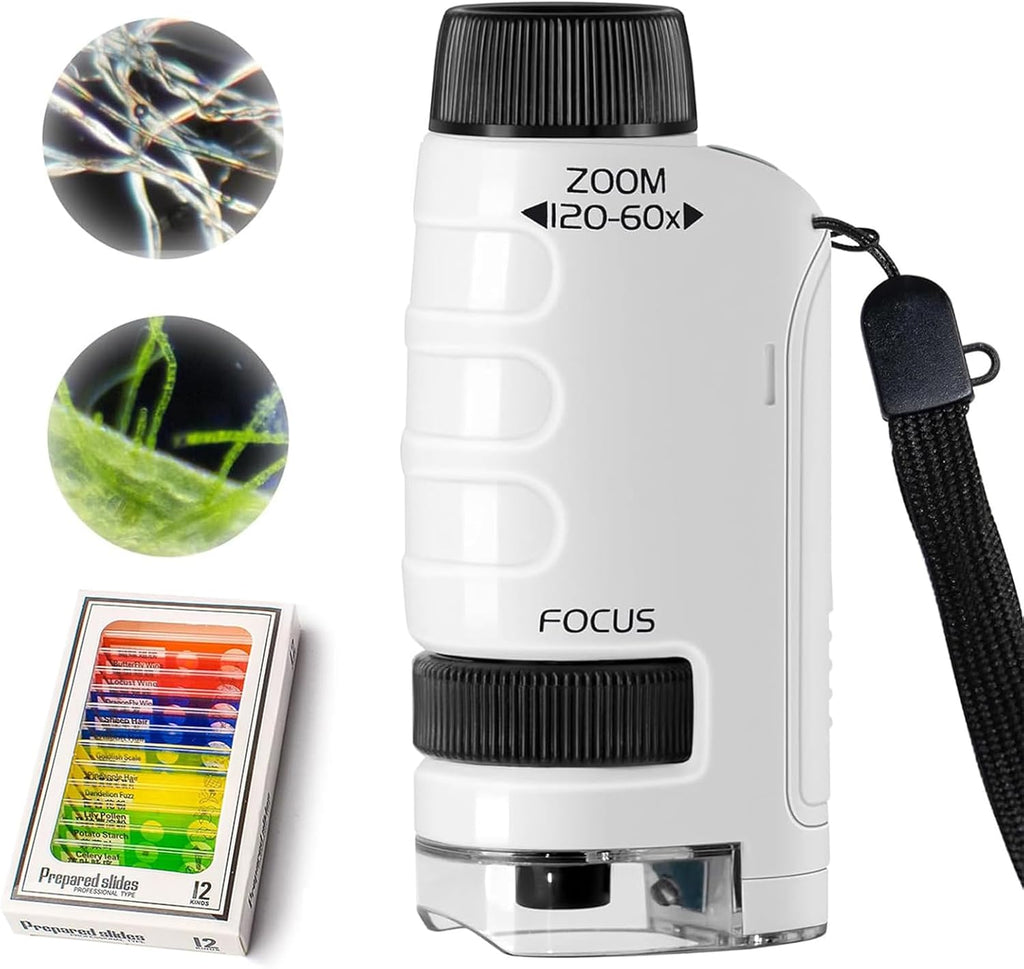Pocket Microscope - Science Without the Hustle – Smartoon Kids