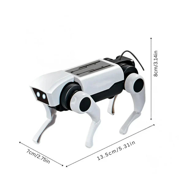 RoboCats iGaming Interface