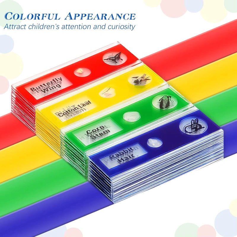 Colorful prepared microscope slides with plant and insect specimens designed to spark children’s curiosity and hands-on science learning.