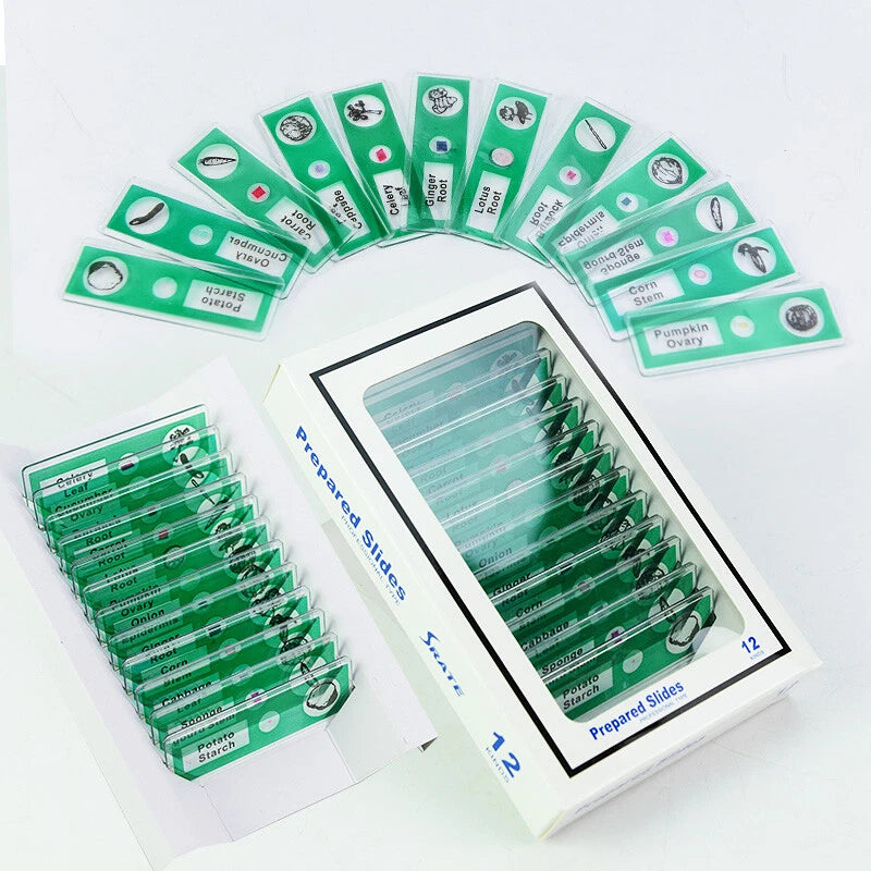 Green Junior Scientist Pocket Samples featuring microscope slides of different fruits and vegetables.